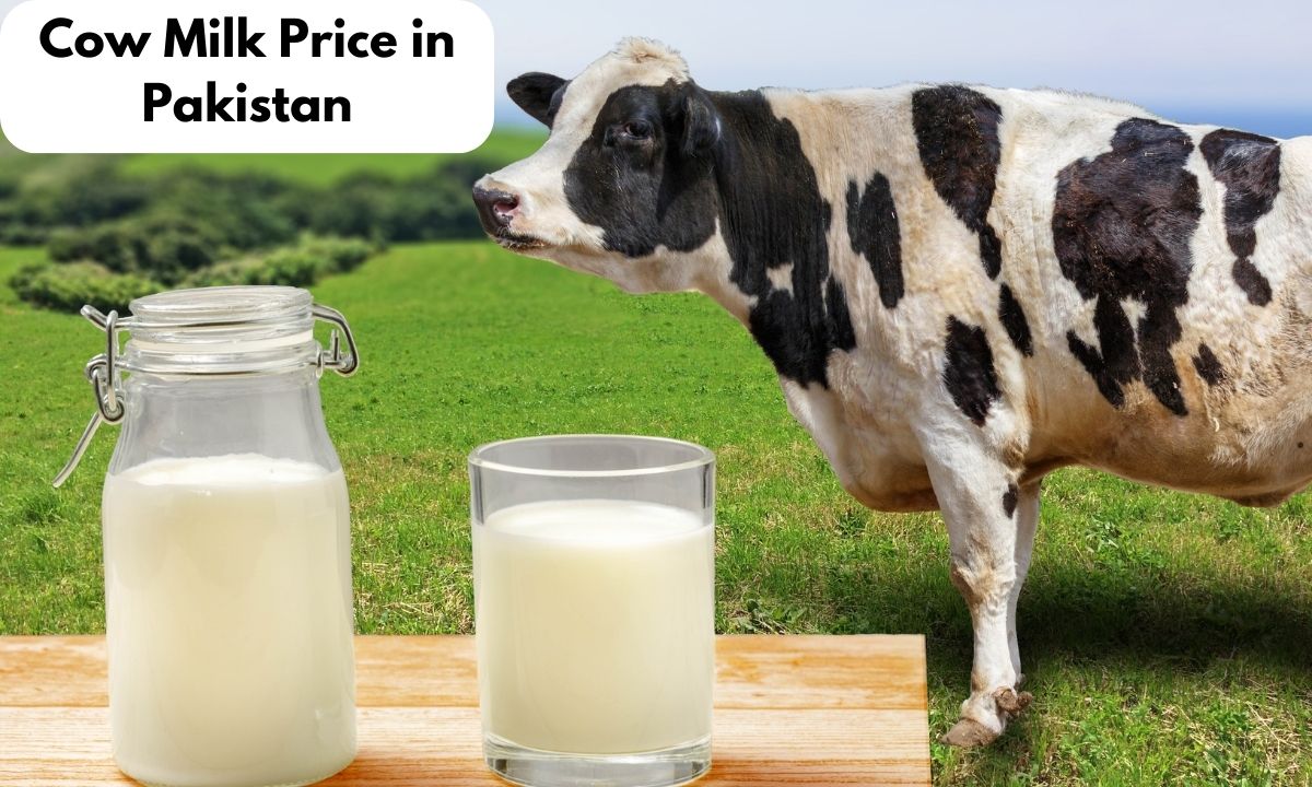 1 Litre of Fresh Cow Milk Price in Pakistan