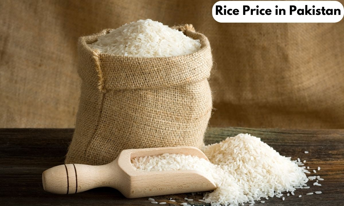 Rice Price in Pakistan